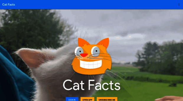 cat-fact.herokuapp.com