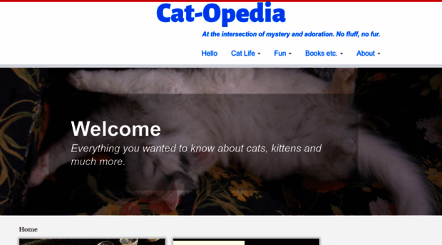 cat-opedia.com