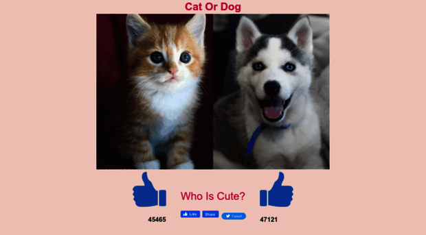 cat-or-dog.net