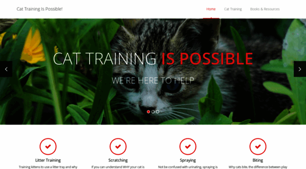 cat-training.co.uk