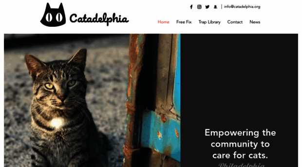 catadelphia.org
