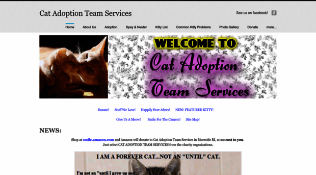 catadoptionri.org