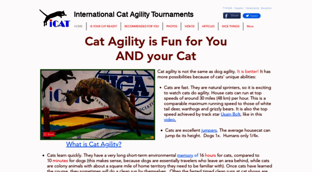 catagility.com