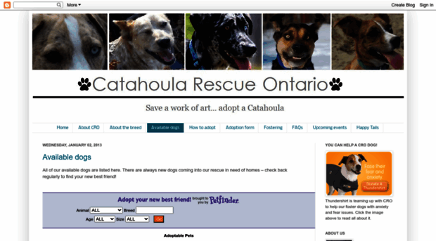 catahoularescueontario-adopt-a-dog.blogspot.ca
