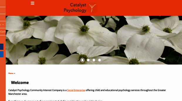 catalystpsychology.co.uk