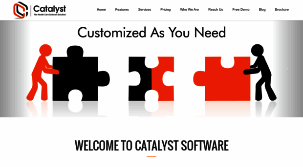 catalystsoftware.co.in