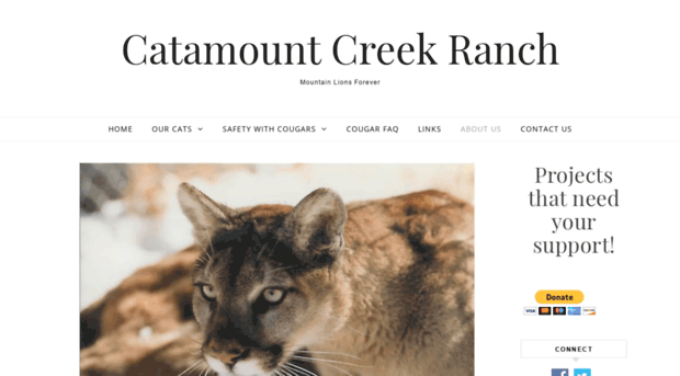 catamountcreek.com