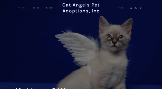 catangelsnc.org