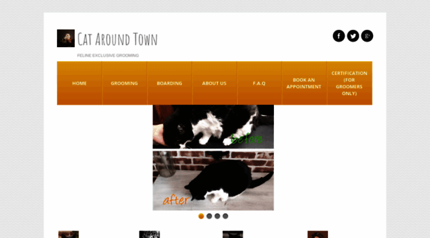 cataroundtown.com