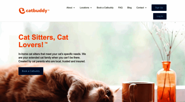 catbuddy.com