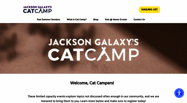 catcampnyc.com