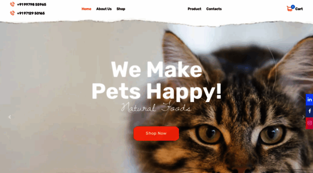 catcare.co.in