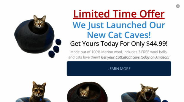 catcatcat.com