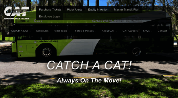 catchacat.org