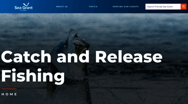 catchandrelease.org