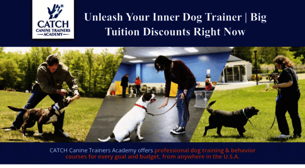 catchdogtraining.com