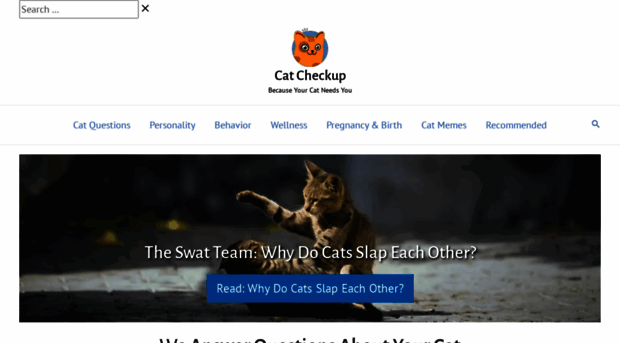 catcheckup.com