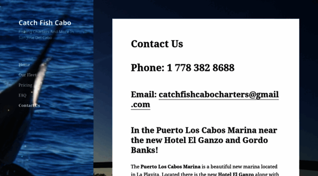 catchfishcabo.com