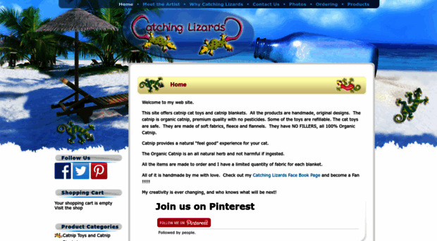 catchinglizards.com