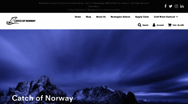 catchofnorway.in