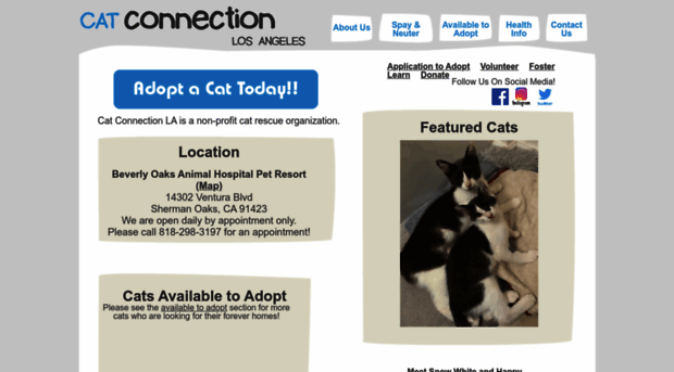 catconnectionla.org