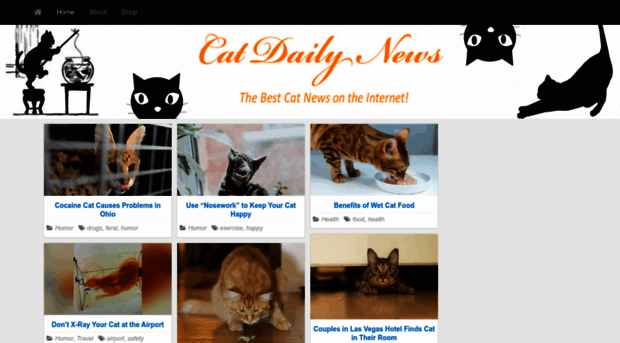 catdailynews.com