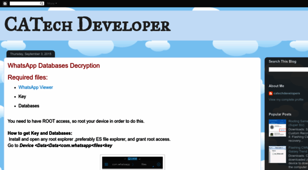 catechdeveloper.blogspot.com