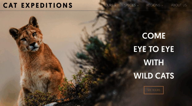 catexpeditions.com