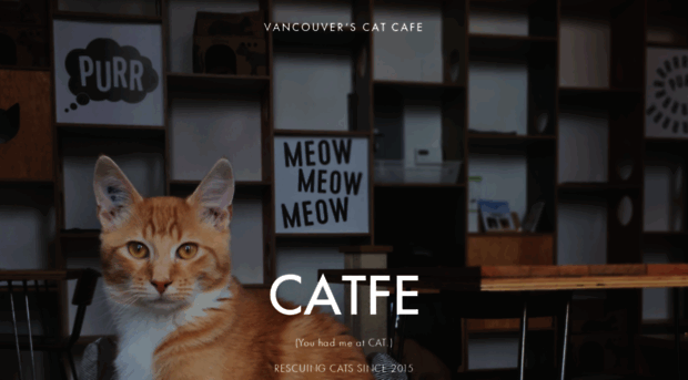 catfe.ca