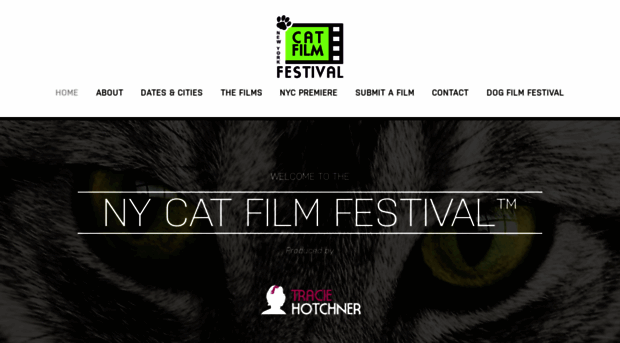 catfilmfestival.com