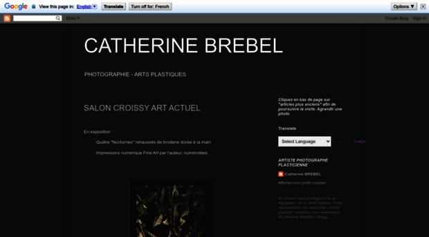 catherine-brebel.blogspot.com