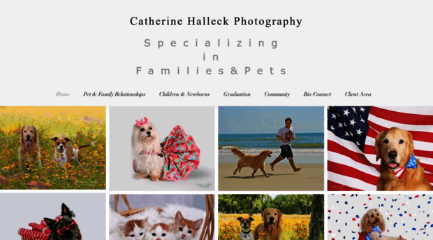 catherinehalleckphotography.com