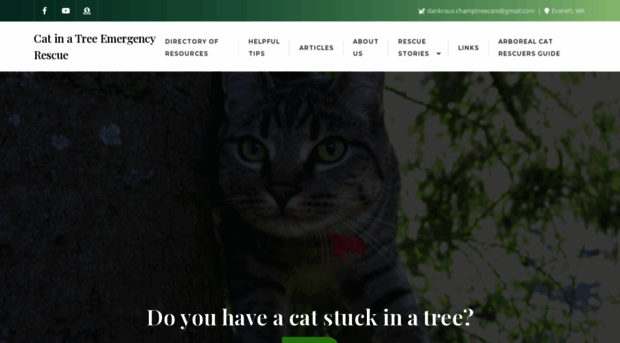 catinatreerescue.com