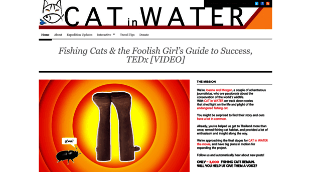 catinwater.wordpress.com