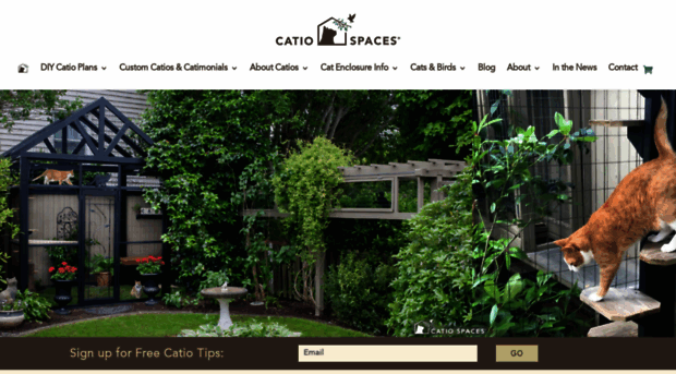 catiospaces.com