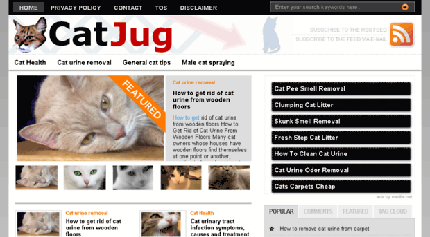 catjug.com