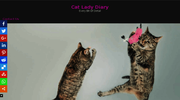 catladydiary.com