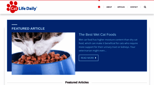 catlifetoday.com