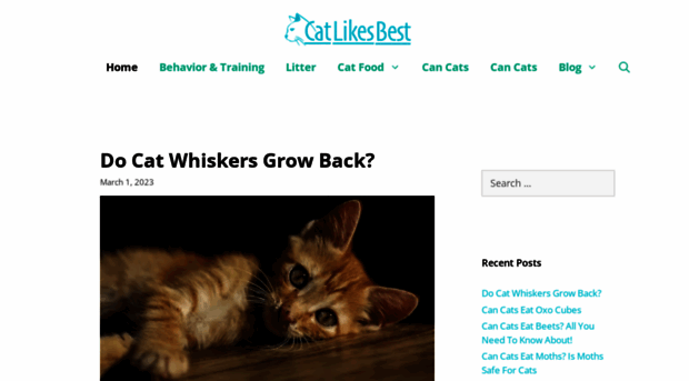 catlikesbest.com