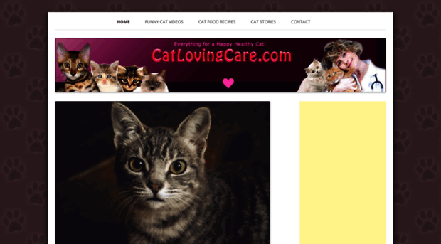 catlovingcare.com