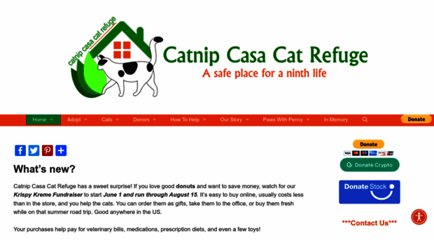 catnipcasa.org