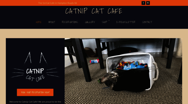 catnipcatcafe.com