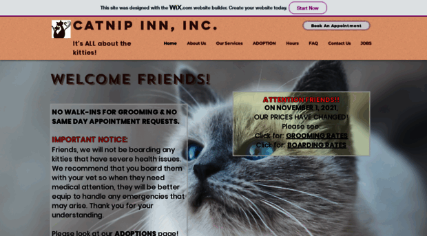 catnipinn.com