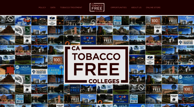 catobaccofreecolleges.org
