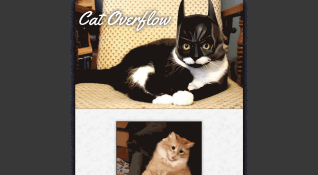 catoverflow.com