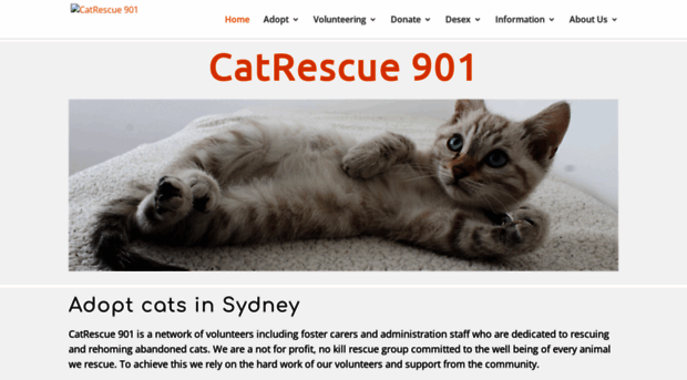 catrescue901.org.au