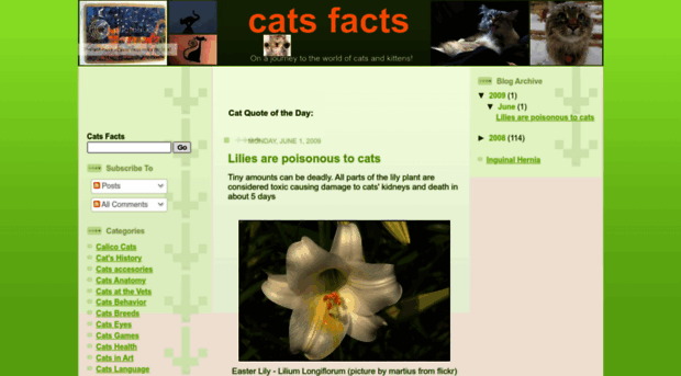 cats-facts.blogspot.com