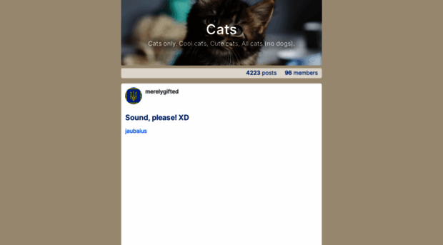 cats.loforo.com