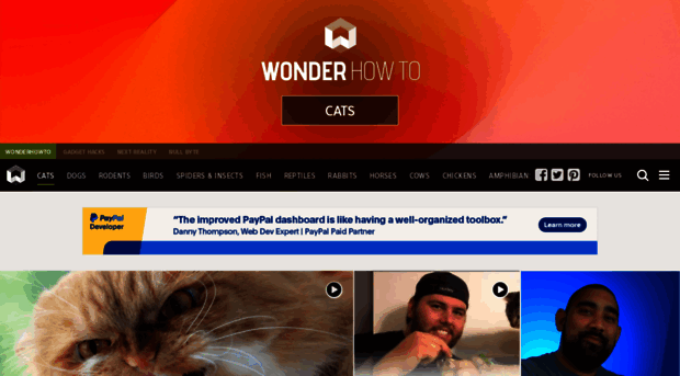 cats.wonderhowto.com