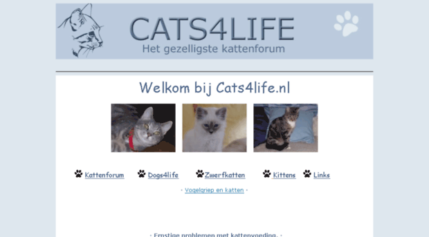 cats4life.nl
